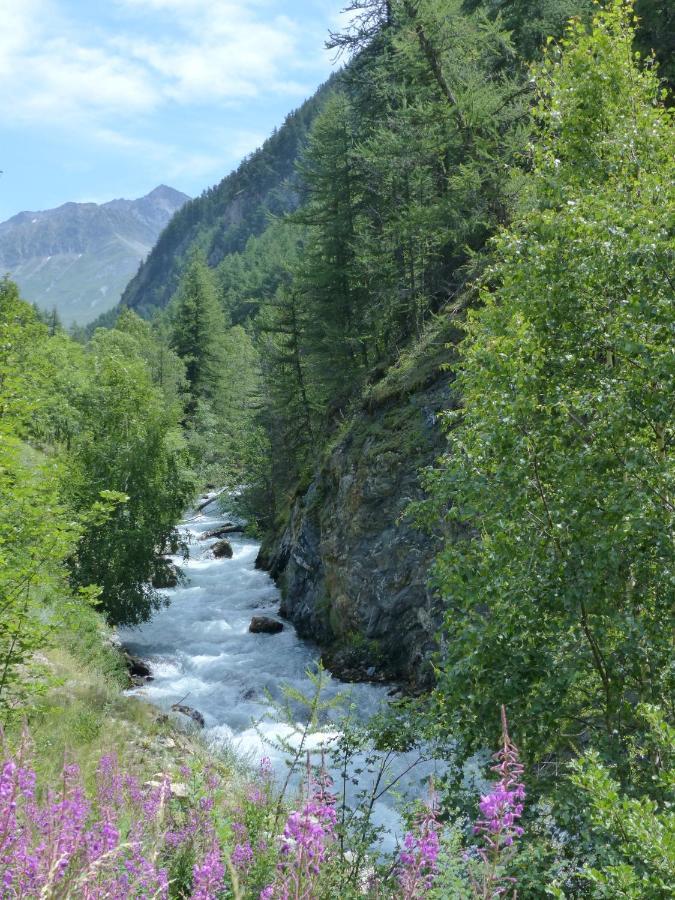 Апартаменты Tranquillite Et Authenticite Au Pied Des Ecrins Виллар-д'Арен Экстерьер фото